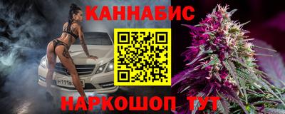 гидра Нальчик