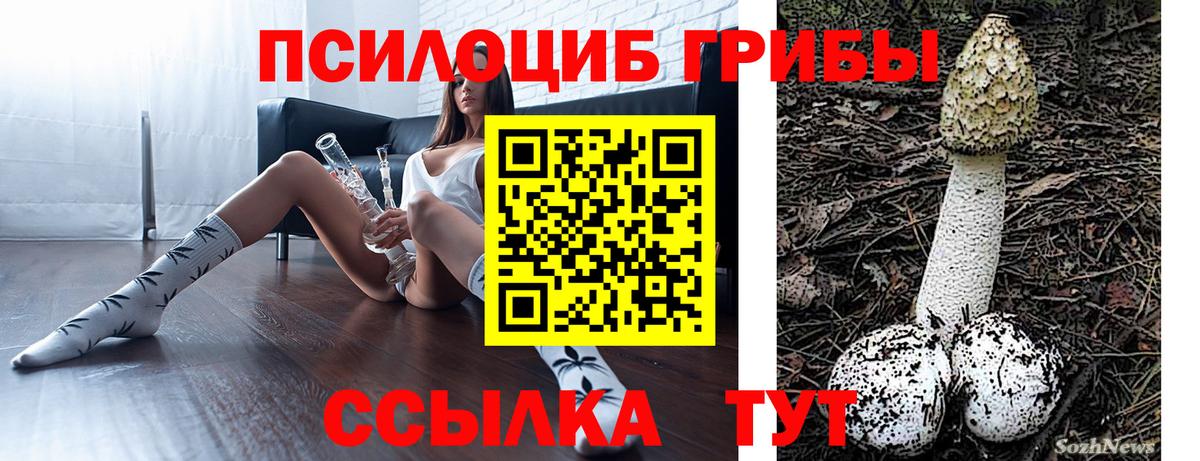 Сланцы  Псилоцибиновые грибы Magic Shrooms  Вход с VPN 